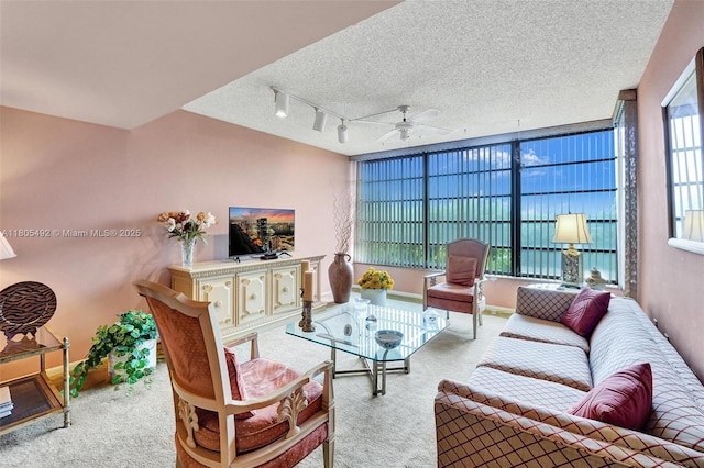 1510 Whitehall Dr Unit 402, Davie, FL 33324 - living area with carpet floors, a ceiling fan, track lighting, and a textured ceiling