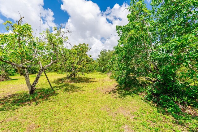 21800 SW 152nd Ave, Miami, FL 33170