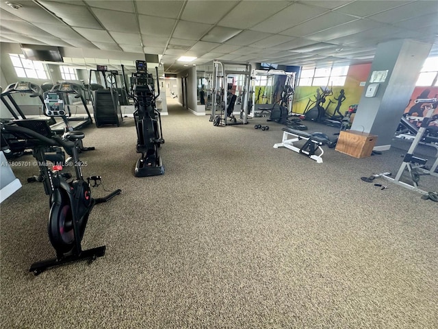 200 Leslie Dr Unit 817, Hallandale Beach, FL 33009 - workout area featuring a drop ceiling and carpet flooring