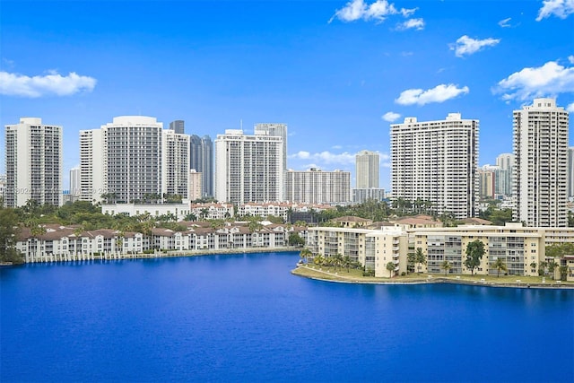 2750 NE 183rd St Unit 1409, Aventura, FL 33160 - photo 30