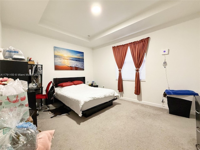 11871 SW 247th Ter, Homestead, FL 33032 - bedroom with carpet floors, baseboards, and a raised ceiling