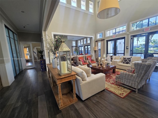 living room featuring dark wood finished floors, a high ceiling, and french doors