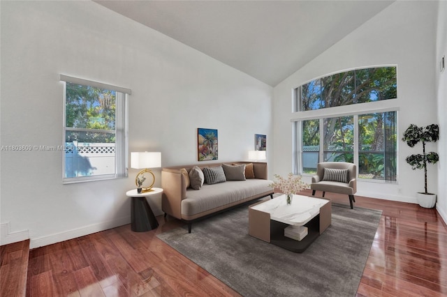 10730 NW 56th Ct, Coral Springs, FL 33076 - living area with high vaulted ceiling and wood finished floors