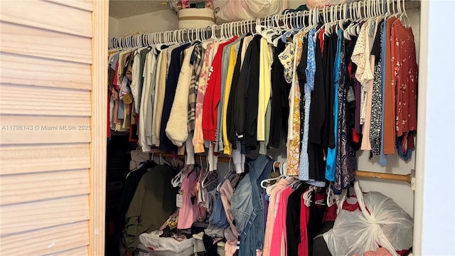 view of spacious closet