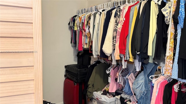 view of walk in closet