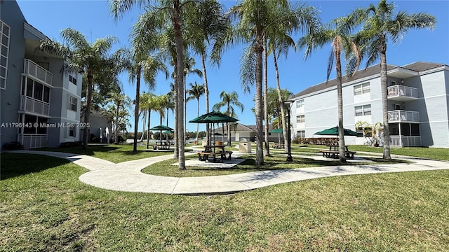 view of community with a yard