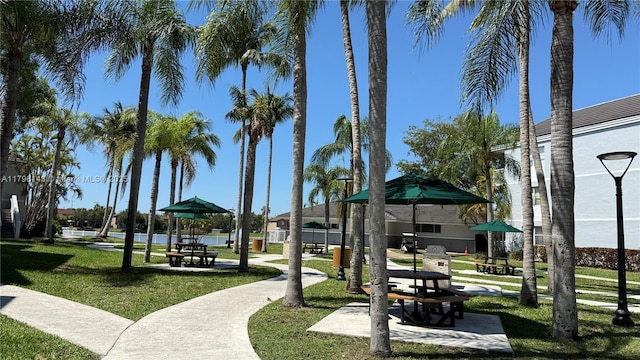 view of community featuring a yard