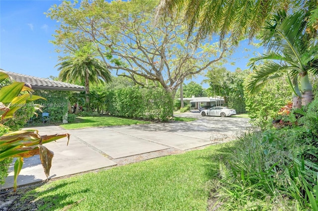 20101 NE 20th Ct, Miami, FL 33179 - photo 29