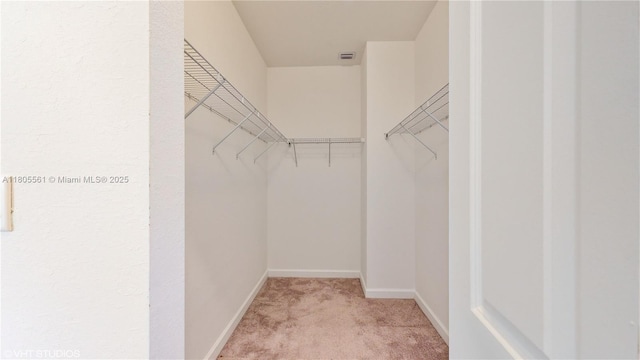 10004 SW 231st Ln, Miami, FL 33190 - spacious closet featuring light carpet