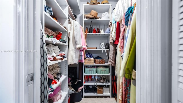 2750 NE 183rd St Unit 1610, Aventura, FL 33160 - view of spacious closet