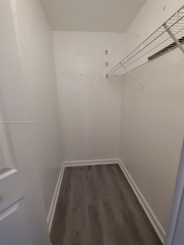 walk in closet with dark wood-style floors