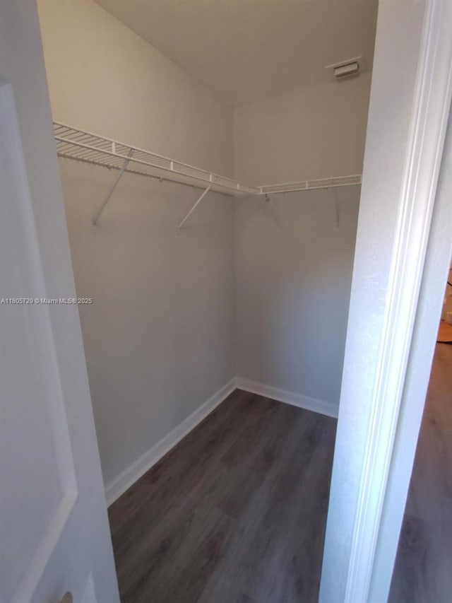 spacious closet featuring dark wood-style flooring