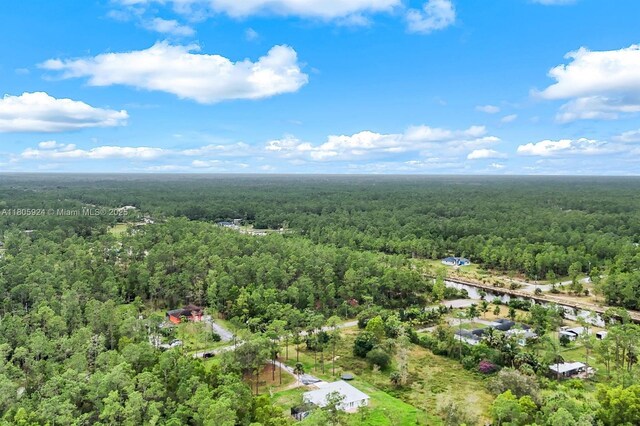 3973 4th Ave SE, Naples, FL 34117 - aerial view of a heavily wooded area