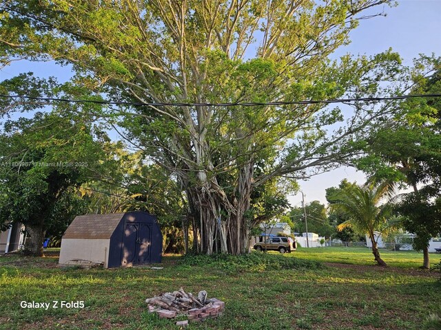 4070 E River Ft, Myers, FL 33916 - view of green lawn featuring a shed and an outdoor structure