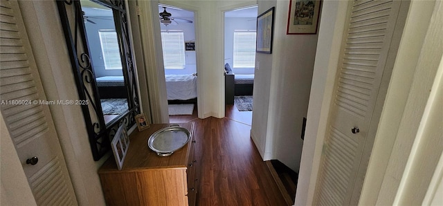 15545 SW 110th Ter, Miami, FL 33196 - corridor with wood finished floors