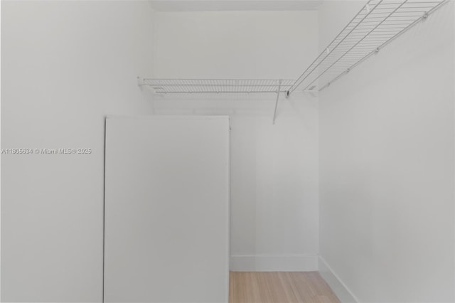 1300 SW 124th Ter Unit 107P, Pembroke Pines, FL 33027 - walk in closet featuring light wood-type flooring
