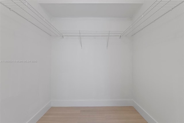 1300 SW 124th Ter Unit 107P, Pembroke Pines, FL 33027 - walk in closet featuring light wood-style floors