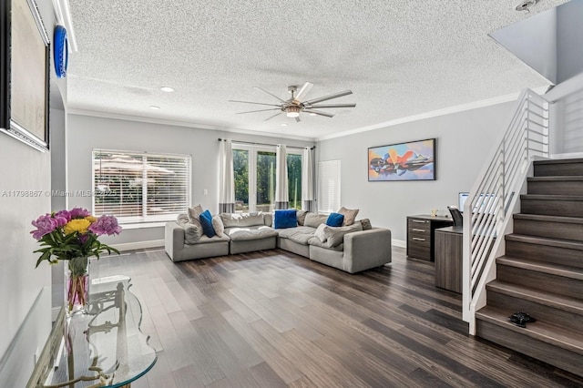 20701 NW 3rd Ct, Pembroke Pines, FL 33029 - living area featuring ceiling fan, stairs, crown molding, a textured ceiling, and dark wood-type flooring