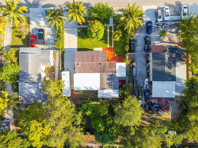 bird's eye view