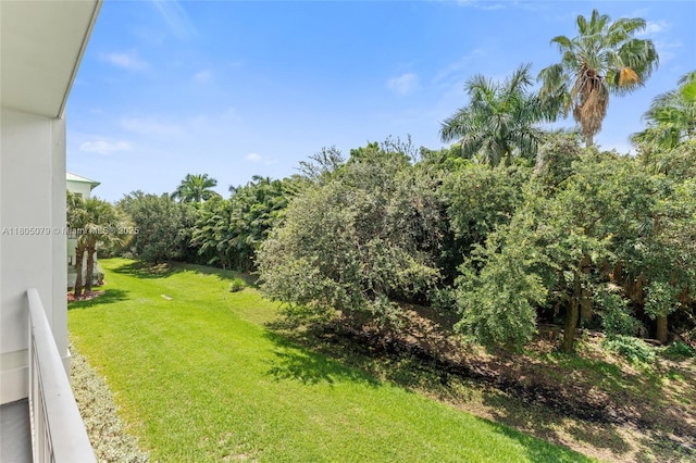 view of green lawn