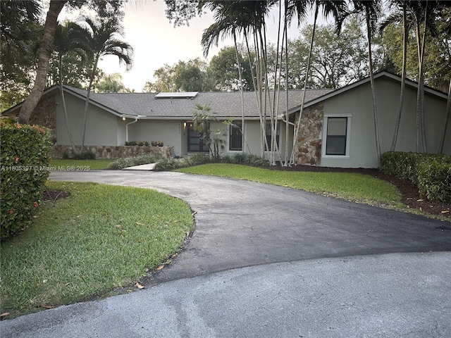 view of front of house with stucco siding, curved driveway, stone siding, and a front yard