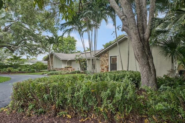 7935 SW 155th St, Palmetto Bay, FL 33157 - view of property exterior featuring stucco siding and driveway