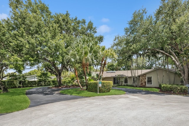7935 SW 155th St, Palmetto Bay, FL 33157 - view of front of house featuring roof mounted solar panels, stucco siding, a front yard, and driveway
