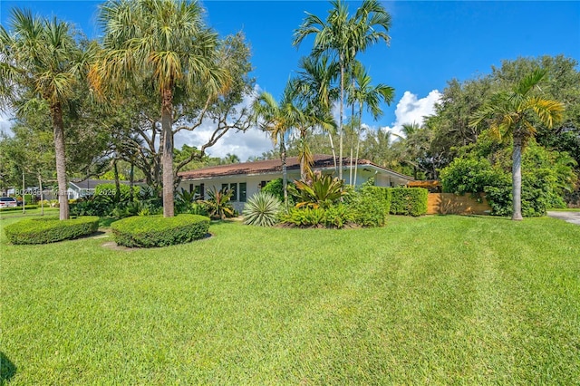 7465 SW 163rd St, Palmetto Bay, FL 33157 - view of green lawn