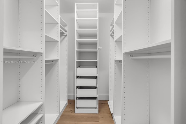 spacious closet featuring light wood-style floors