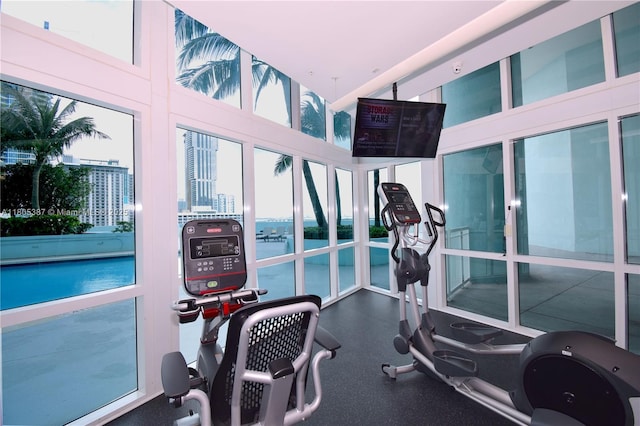 1900 N Bayshore Dr Unit 2804, Miami, FL 33132 - workout area with plenty of natural light and a towering ceiling