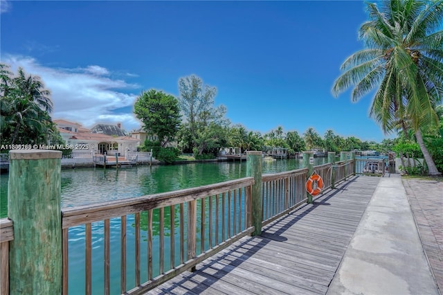 dock area with a water view