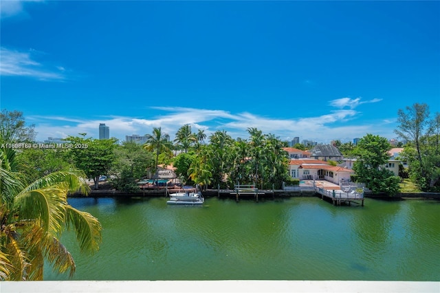 water view with a dock