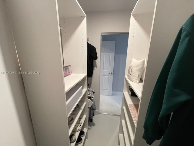 view of spacious closet