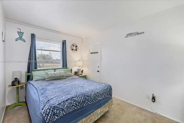 330 Lasayette Dr NE, Port Charlotte, FL 33952 - bedroom with carpet and baseboards