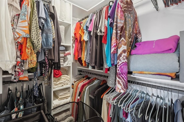 3050 NE 47th Ct Unit 205, Fort Lauderdale, FL 33308 - view of spacious closet