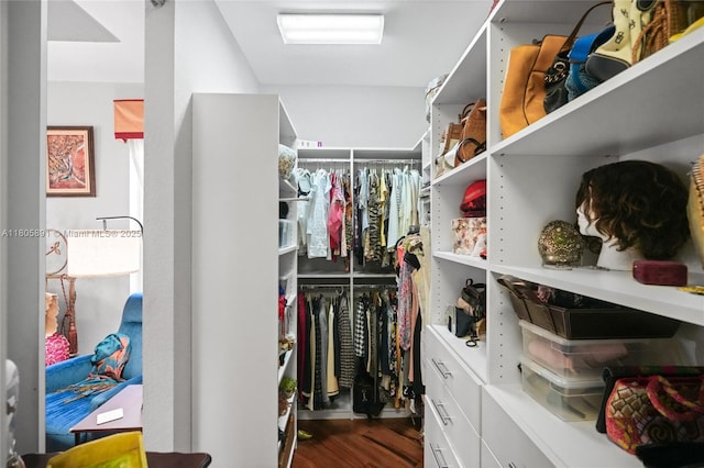 1282 Grant Ct, Hollywood, FL 33019 - spacious closet featuring wood finished floors
