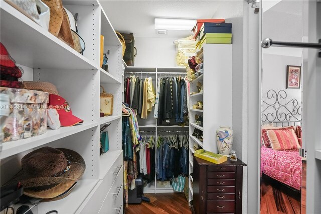 1282 Grant Ct, Hollywood, FL 33019 - walk in closet with wood finished floors