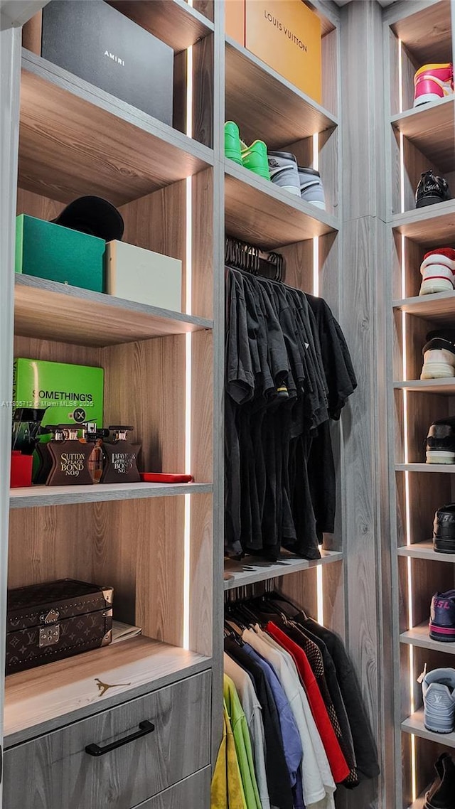 view of walk in closet