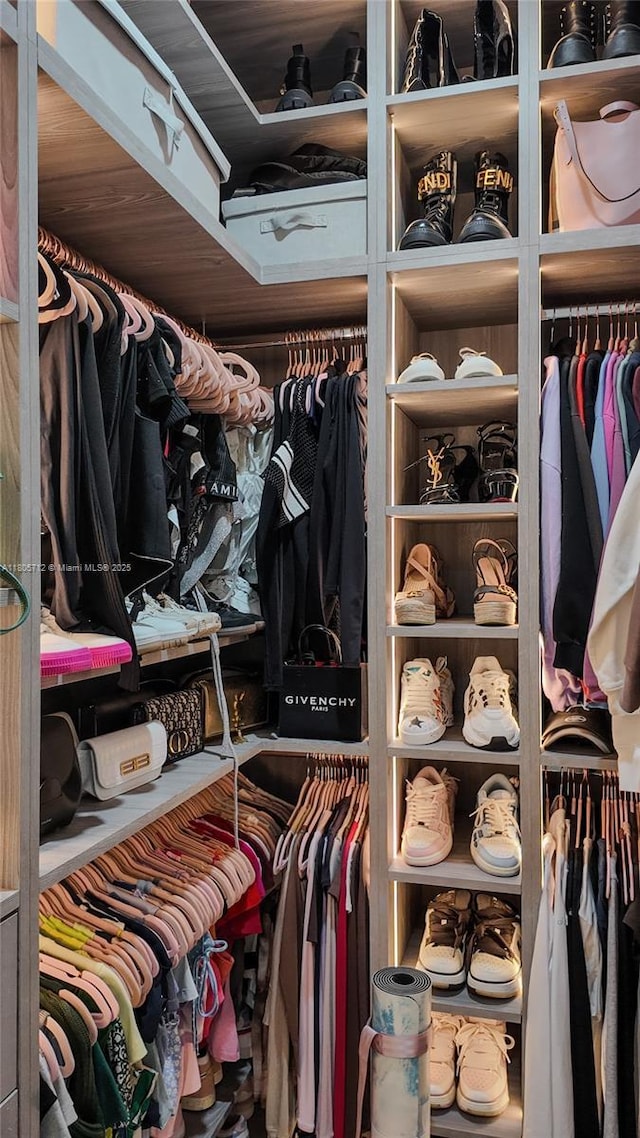 view of walk in closet