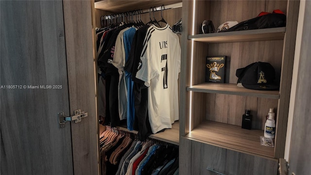 view of closet