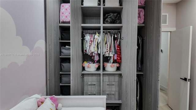 view of closet