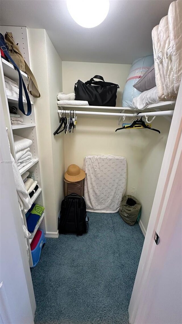 180 Seaview Ct Unit 706, Marco Island, FL 34145 - spacious closet with carpet
