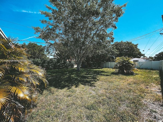 1231 N 16th Ct, Hollywood, FL 33020 - view of yard