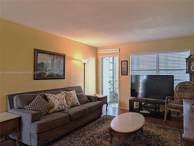 1280 NW 43rd Ave Unit 205, Lauderhill, FL 33313 - living room featuring wood finished floors and a textured ceiling
