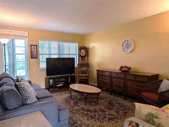 1280 NW 43rd Ave Unit 205, Lauderhill, FL 33313 - living room with wood finished floors