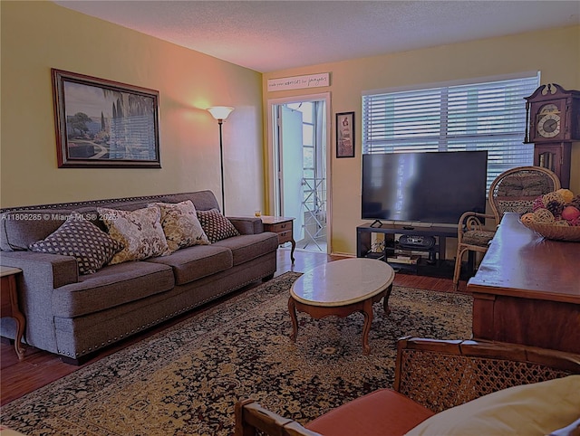 1280 NW 43rd Ave Unit 205, Lauderhill, FL 33313 - living area featuring wood finished floors and a textured ceiling