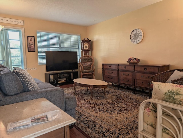1280 NW 43rd Ave Unit 205, Lauderhill, FL 33313 - living area featuring wood finished floors