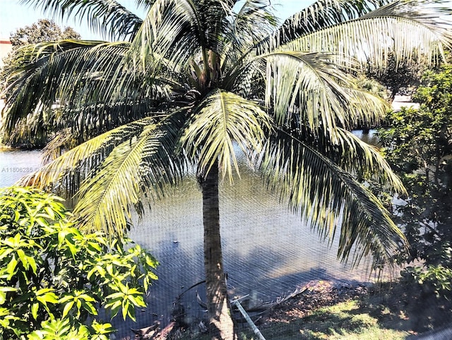 1280 NW 43rd Ave Unit 205, Lauderhill, FL 33313 - view of nature with a large body of water
