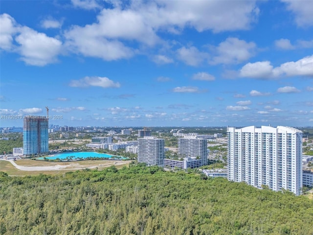 14951 Royal Oaks Ln Unit 2105, North Miami, FL 33181 - view of urban area featuring a pool