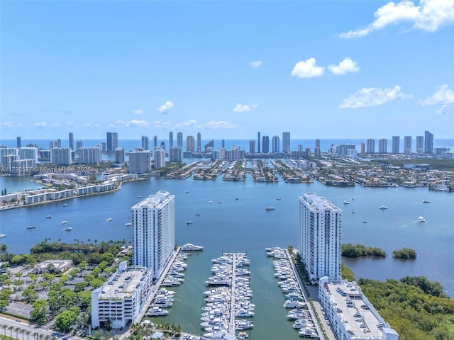 17301 Biscayne Blvd Unit 1108, Aventura, FL 33160 - water view with skyline and numerous boat docks